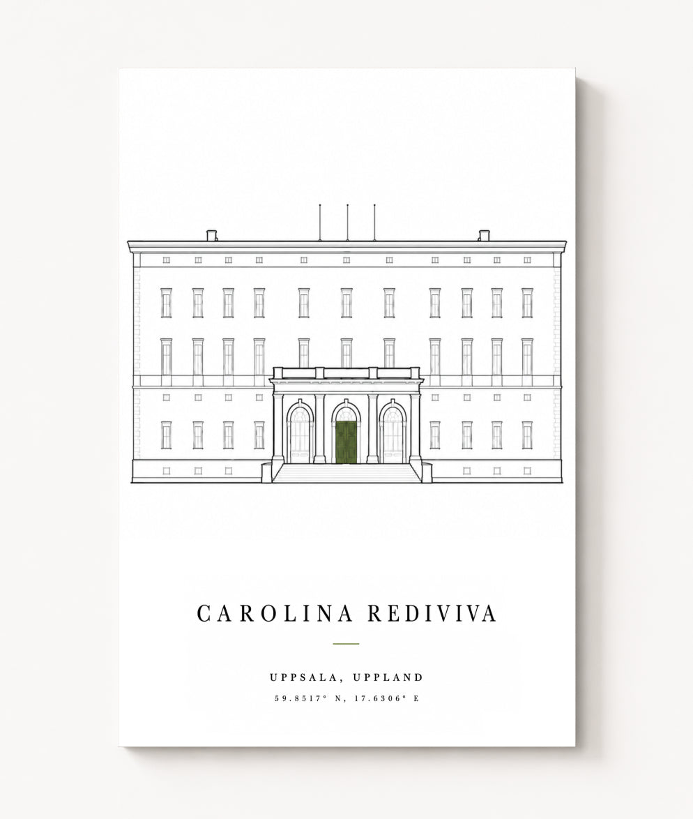 003 — CAROLINA REDIVIVA